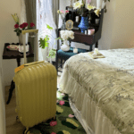 Tencel Bedding Bundles With French Style photo review