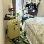 This bedding is perfect for any season. The comforters are cozy, and the bed linens are breathable!