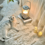 Tencel Bedding Bundles With French Style photo review