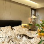 The bedding sets come in beautiful colors and designs. The duvet covers are stylish, and the bed sheets are super soft. Pillowcases are a perfect match. These bed linens have brightened up my room!