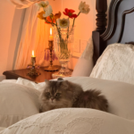 This bedding set is of excellent quality! The bed sheets are soft, and the duvet covers are beautiful. The pillowcases fit perfectly and are very comfortable. I highly recommend this bedding to anyone looking for quality!