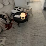 This blanket is great for chilly nights! Its thick and warm, making it perfect for winter.